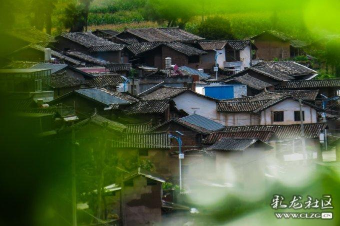 在同一室观世音菩萨和己故人照片可以并排放吗？游戏画面