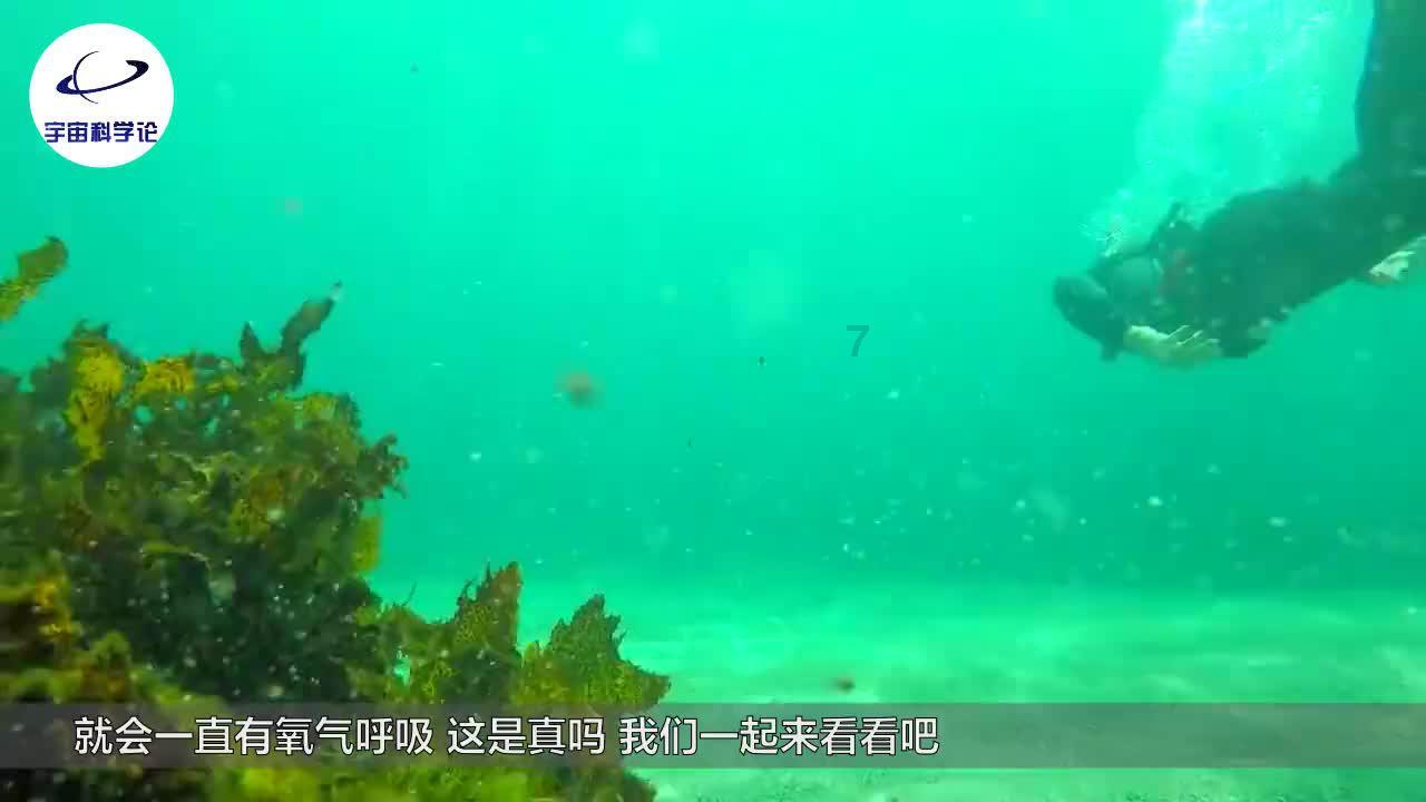 子弹风暴